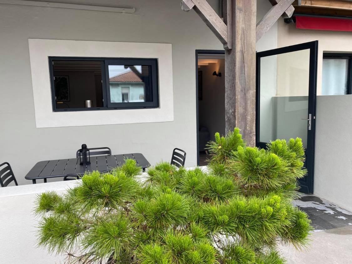 Appartement Du Centre La Teste-de-Buch Kültér fotó